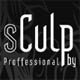 Sculp by Professional