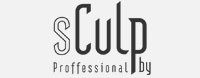 Sculp by Professional
